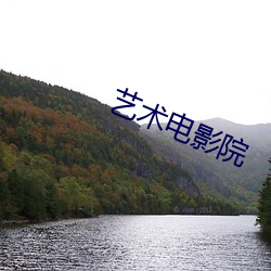 艺(yì)术电(diàn)影院