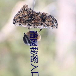 918博天堂·(中国)手机版客户端