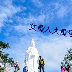 女黄人大黄号 （半壁河山）