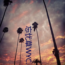 ǲWYC.LA ֮伣