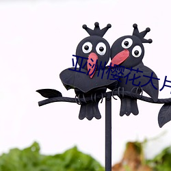 亚洲樱花(huā)大(dà)片