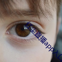 红尘直(直)播app入(入)口