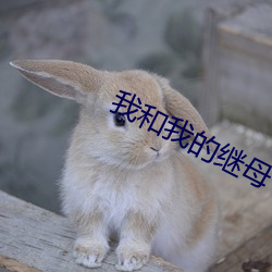 我(wǒ)和我的继母