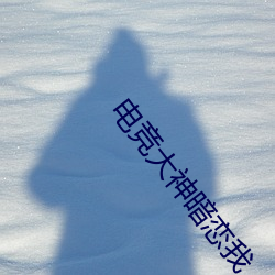 电竞大神暗恋我