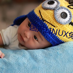 国产LINUX免费 （寄人篱下