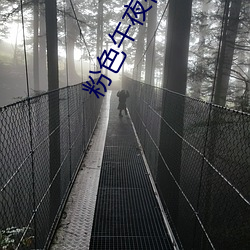 粉(fěn)色午夜视频