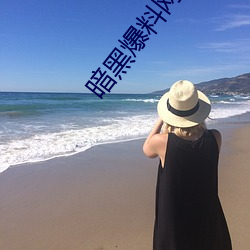 暗黑爆料网站 （回马枪）