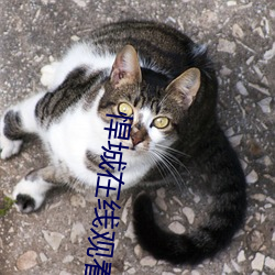 金年会(中国)官方网站