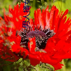 AG真人平台(中国)官方网站