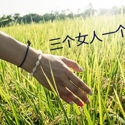 ca88手机客户端(安卓/苹果)CA88会员登录入口