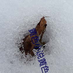 黄色小说黄色(sè)视频