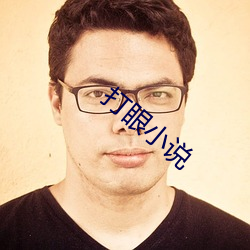 打眼小说