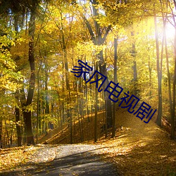 家(jiā)风电视剧