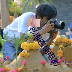 杉原(原)杏璃(璃)电影(影)