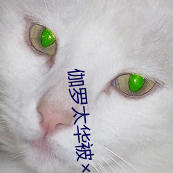 伽(g��)罗太华被哭还流(li��)东西作业小说