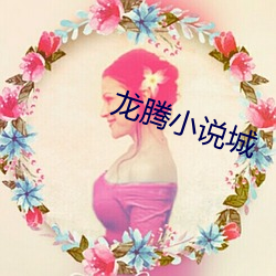 龙腾小说城