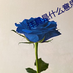 洋具是什么意思免费下(xià)载