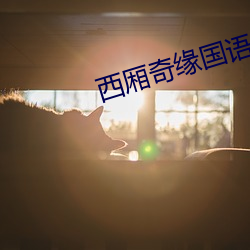 西厢奇(qí)缘国(guó)语