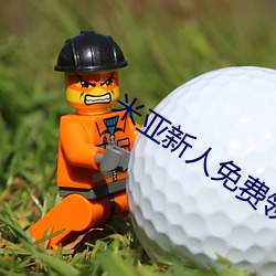 米亚新人免费领入口 （一寸赤心