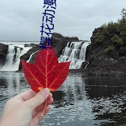 樱花动漫在线