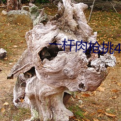 金年会(中国)官方网站