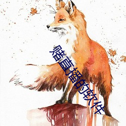 赌直播的软件