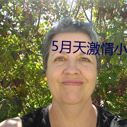 5月天激(jī)情(qíng)小说社区