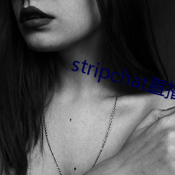 stripchat直播回放