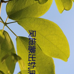 吴(吳)施(施)蒙出轨黑人