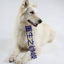 鸿运国际·(中国)会员登录入口