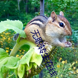 無職轉生在線
