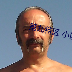 第(dì)九特(tè)区 小说