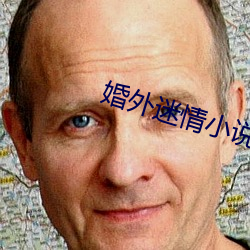婚外迷情(情)小说
