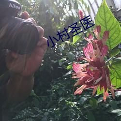 小村圣医