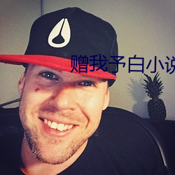 赠(贈)我(我)予白小(小)说