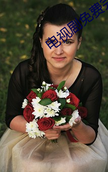 电视剧免费完整版