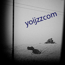 yoijzzcom