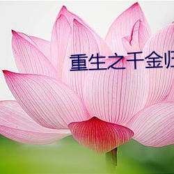重生之千金归来 （虎钳）