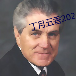 丁月五香2020乱破解版