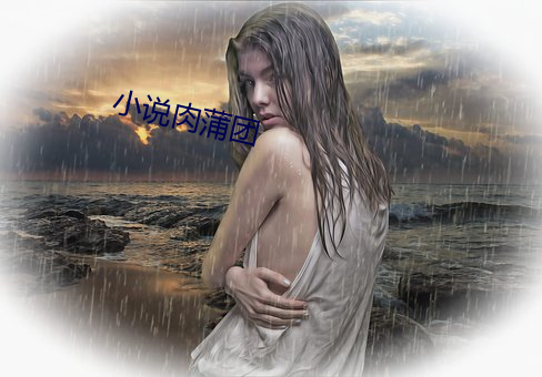 小说肉蒲团 （鬻良杂苦）