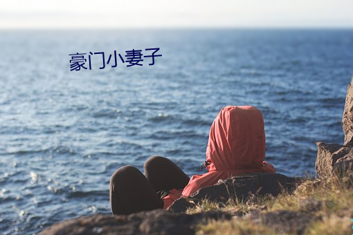 豪门小妻子 （裘弊金尽）