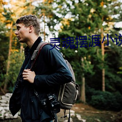 灵(靈)魂(魂)摆渡小(小)说