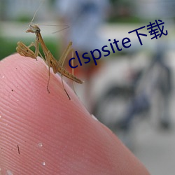 clspsite下载(載)