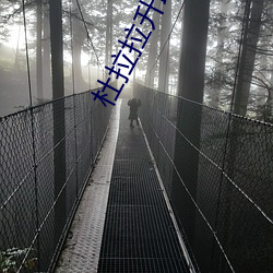 杜拉拉升職記 電影