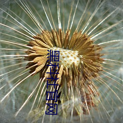 米乐M6·(中国)官方网站