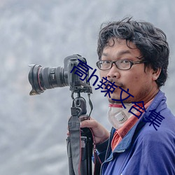 高h辣文合集