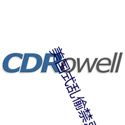 美国式乱偷禁忌