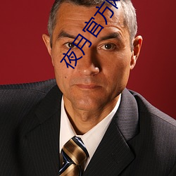 夜月(月)官方网站