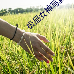 suncitygroup太阳集团--官方网站