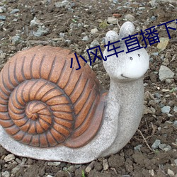 小风车直(直)播下载